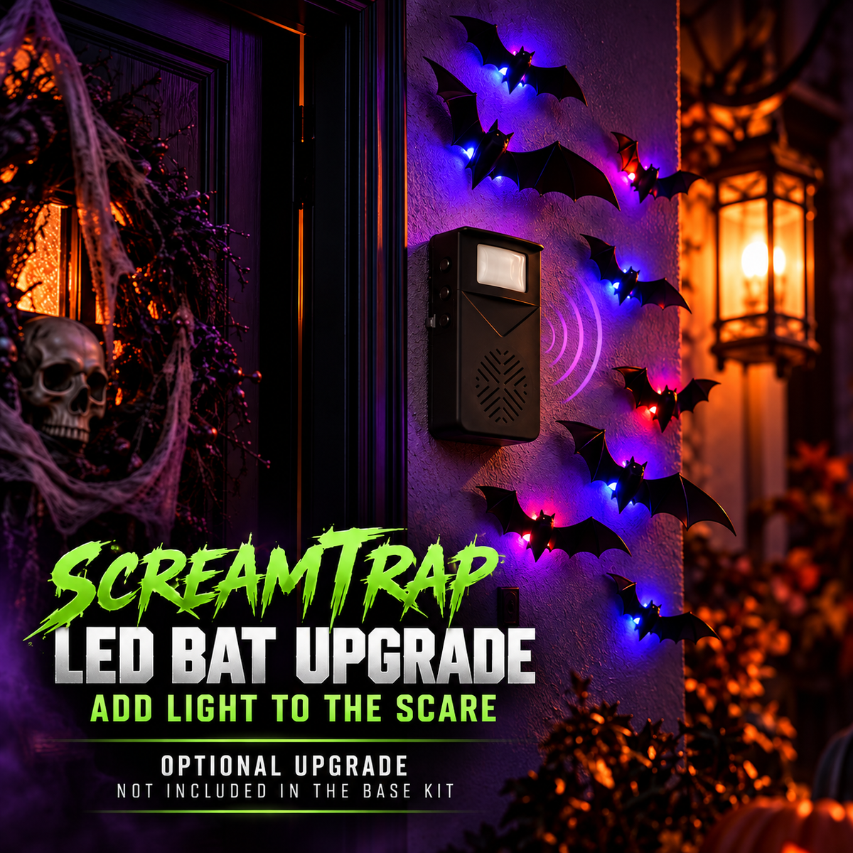 LED Bundle suggested setup